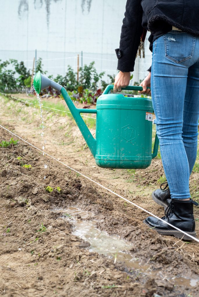 Giust'orto carcere di Saluzzo