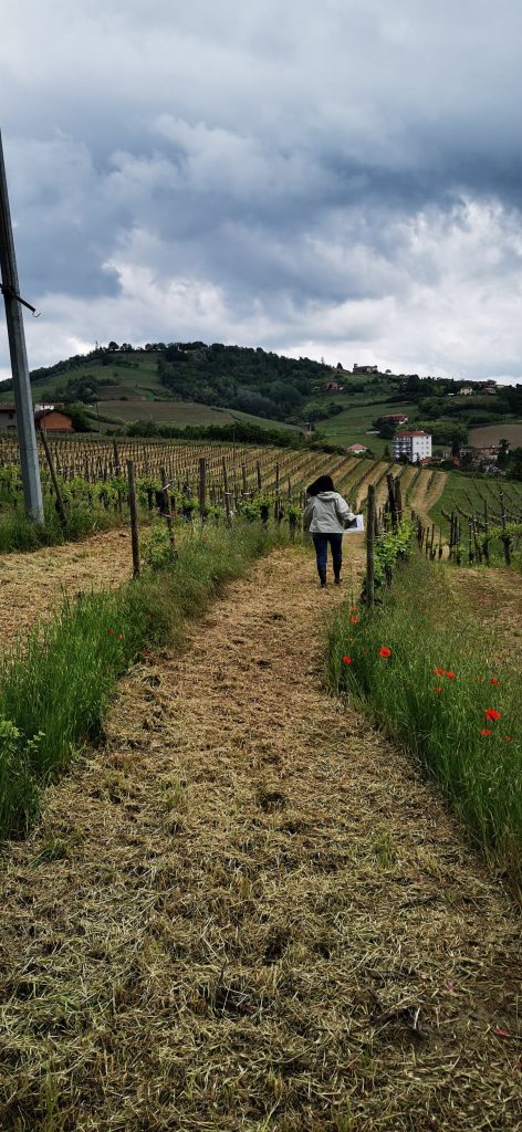 caccia al tesoro in vigna wine e street art experience monteruello