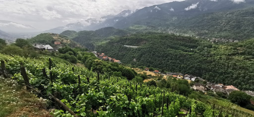 Valsusa vigneti eroici