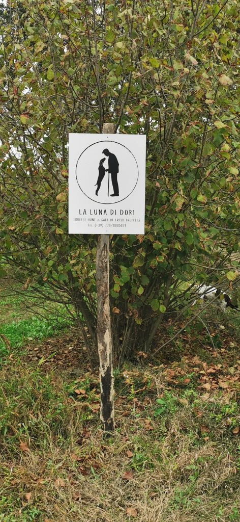 La luna di Dori truffles Alba