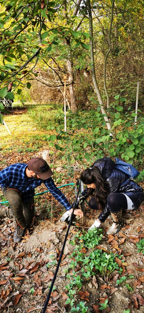la luna di dori truffles Alba
